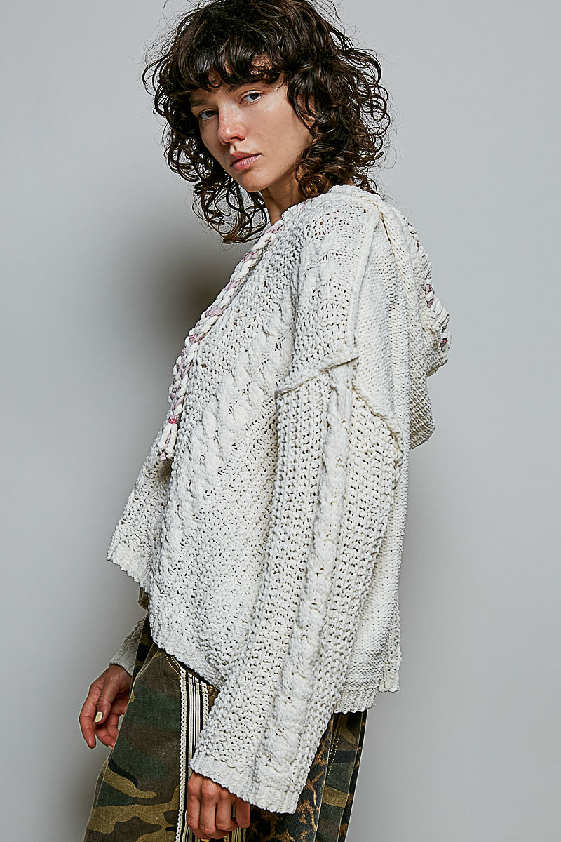 Ultra Cozy Chenille Hoodie